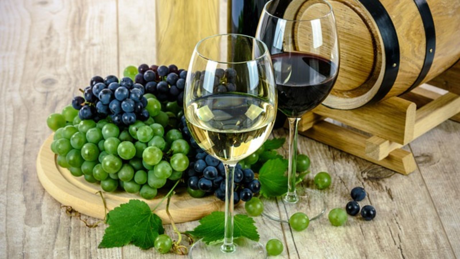 Exploring the World of Wine