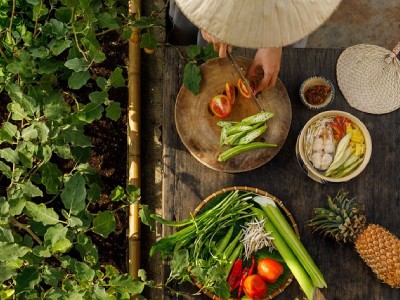 From Farm to Table: Understanding the Journey of Our Food