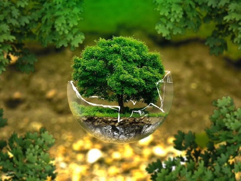 The Science of Climate Change: What We Can Do to Protect the Planet