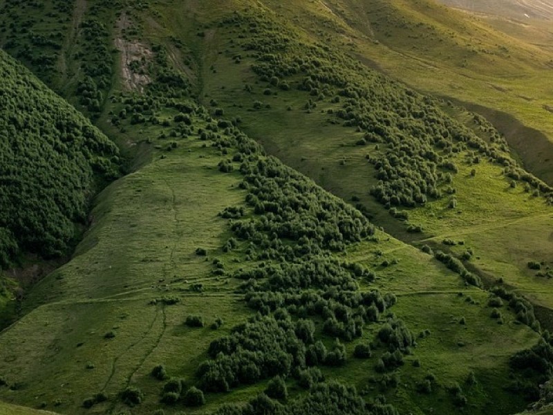 From Forests to Oceans: How Science Helps Protect Earth’s Ecosystems