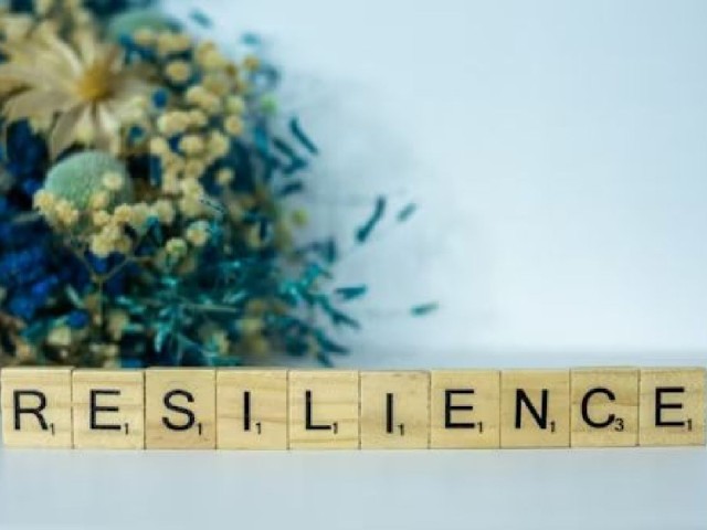 Mental Resilience: The Silent Power Behind Success